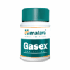 HIMALAYA Gasex a 100 tablete