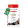 FV GABA kapsule 60x750mg