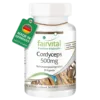 FV Cordyceps cps 500mgx90