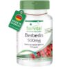 FV Berberin kapsule 90x500mg