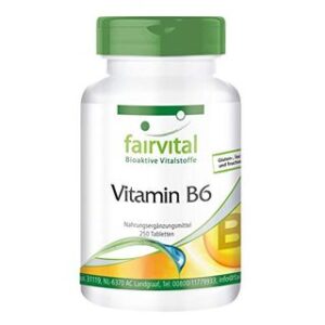 FV Vitamin B6 tablete 250x22,5mg